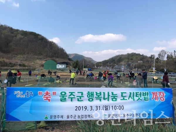울주군 행복 나눔 토시텃밭 개장 ⓒ양산타임스