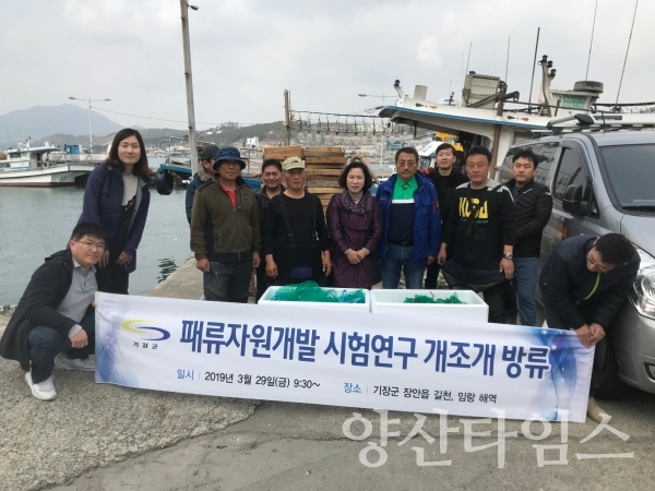 개조개 종자 방류 ⓒ양산타임스