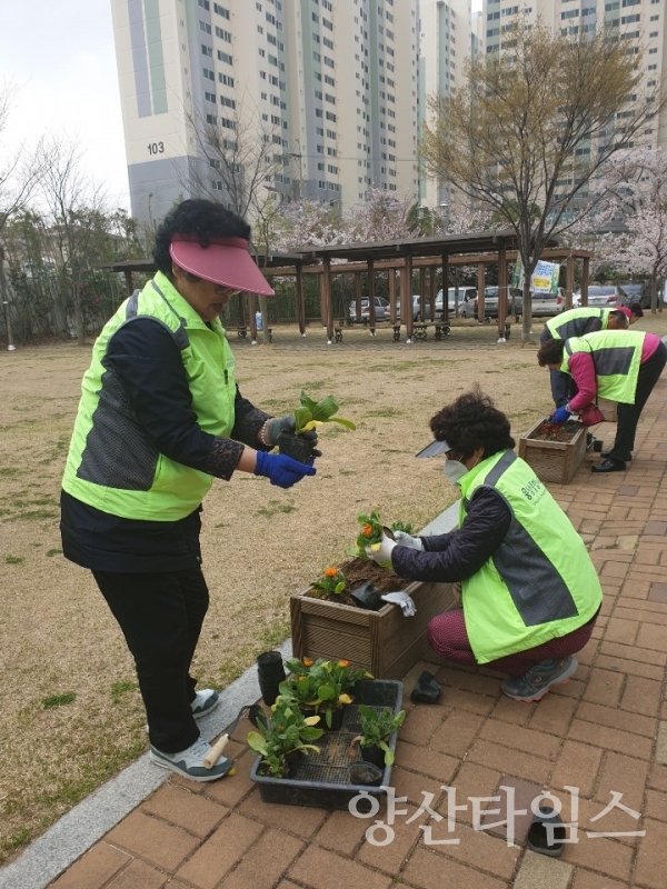 웅상종합사회복지관 노인일자리사업 ⓒ양산타임스