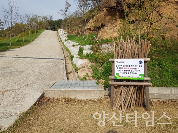 주요 등산로 입구에 비치된 폐나뭇가지를 재활용한 등산용 지팡이 ⓒ양산타임스