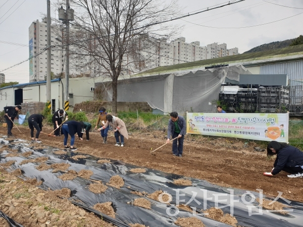평산동지사협 '십시일반텃밭' 모종심기 사업