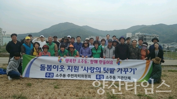 소주동 주민자치위원회 '사랑의 텃밭 가꾸기' ⓒ양산타임스