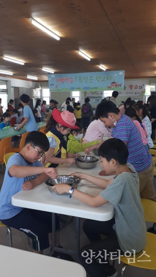 지난 11일부터 시작된 울주군 체험학습 '목장은 학교다' ⓒ양산타임스