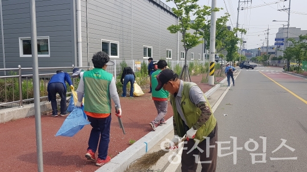 감자수확행사와 연계해 소주동 관내 도로변 정비와 국토대청소를 실시했다. ⓒ양산타임스