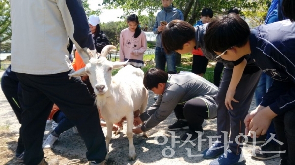 울주군 관내 초등학생 대상 체험학습 프로그램 '목장은 학교다' ⓒ양산타임스