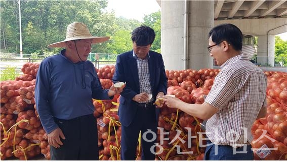 울주군은 양파 660t을 동남아시아로 첫 수출하기로 합의했다. ⓒ양산타임스