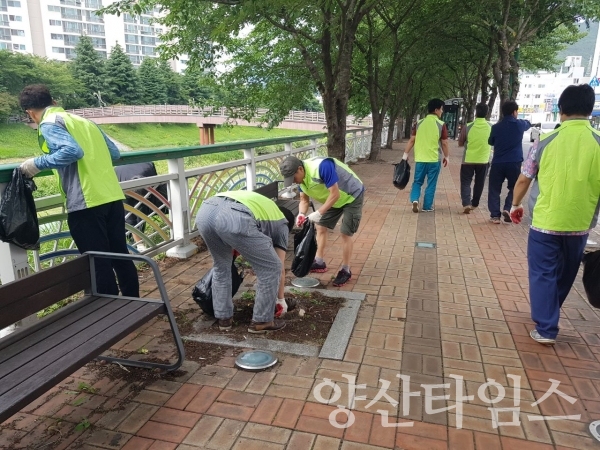 양산시 중앙동 북부천 환경정화활동 ⓒ양산타임스