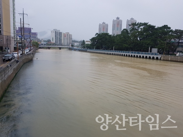 일광해수욕장 인근 일광천 흙탕물이 일광해수욕장으로 유입되는 모습 ⓒ양산타임스