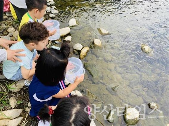 울주군 태화강생태관 어린황어 방류체험 ⓒ양산타임스