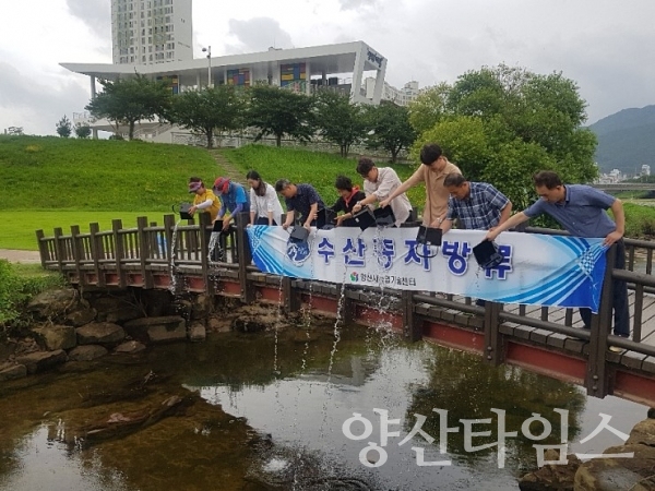 양산시 농업기술센터에서 토종어종 치어를 방류했다. ⓒ양산타임스