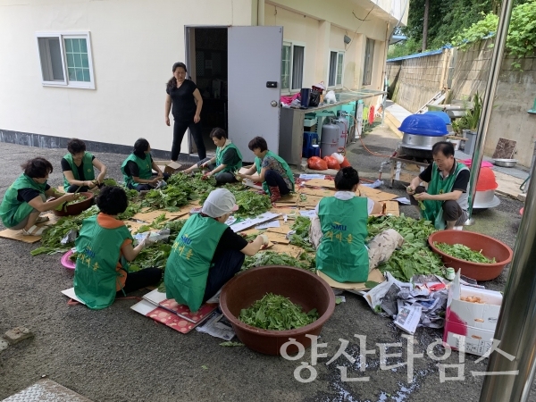 양산시 동면새마을부녀회, 사랑의 열무김치 나누기 행사 ⓒ양산타임스