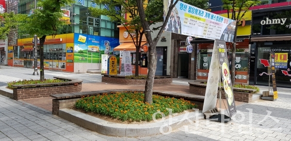 양주동 젊음의 거리 가을꽃 새단장 ⓒ양산타임스