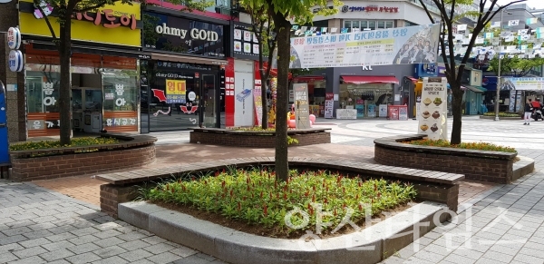 양주동 젊음의 거리 가을꽃 새단장 ⓒ양산타임스