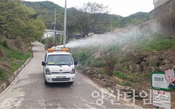 양산시에서 방역취약지역에 소독을 실시하고 있다. ⓒ양산타임스