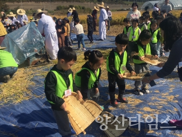2018년 기장군 손벼베기 저농 농경물화 복원행사 ⓒ양산타임스