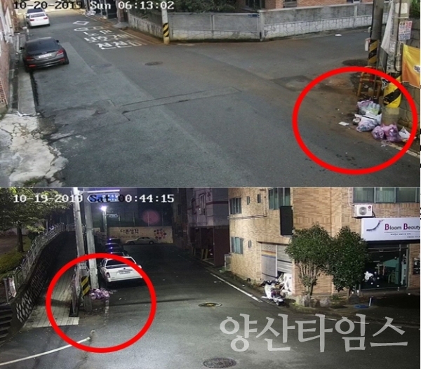 10월이후 종량제 봉투를사용한 올바른 분리배출 현장 ⓒ양산타임스