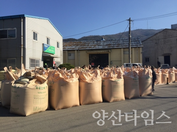 양산시는 2019년산 공공비축미곡 매입을 11월 11일부터 14일까지 4일간 실시한다. ⓒ양산타임스