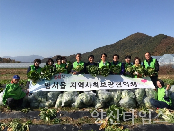 범서읍 지사협 사랑의 배추 나눔 행사 ⓒ양산타임스