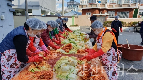 양산시 중앙동 주민자치위 '사랑의 김장나누기' 행사 ⓒ양산타임스