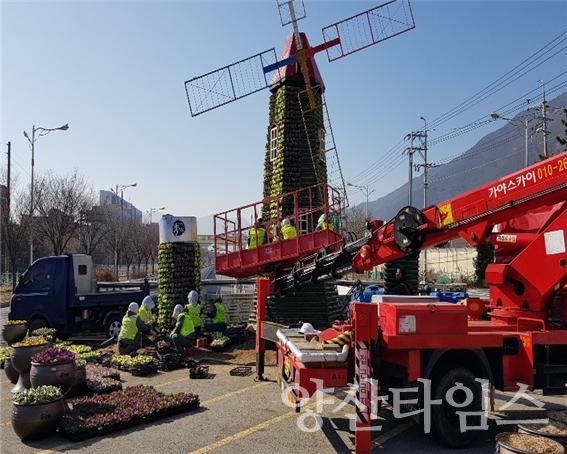 양산시가지 겨울맞이 꽃단장 ⓒ양산타임스