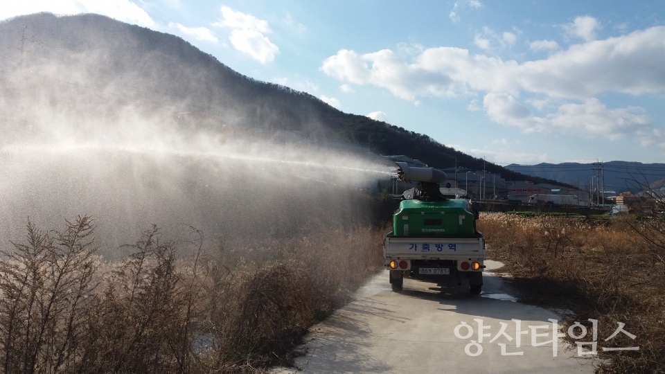 양산시가 철새가 본격 도래하는 동절기에 대비해 고병원성 AI 방역을 강화한다. ⓒ양산타임스