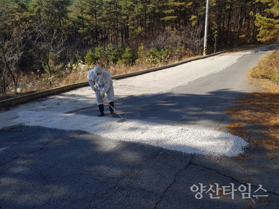 양산시가 철새가 본격 도래하는 동절기에 대비해 고병원성 AI 방역을 강화한다. ⓒ양산타임스