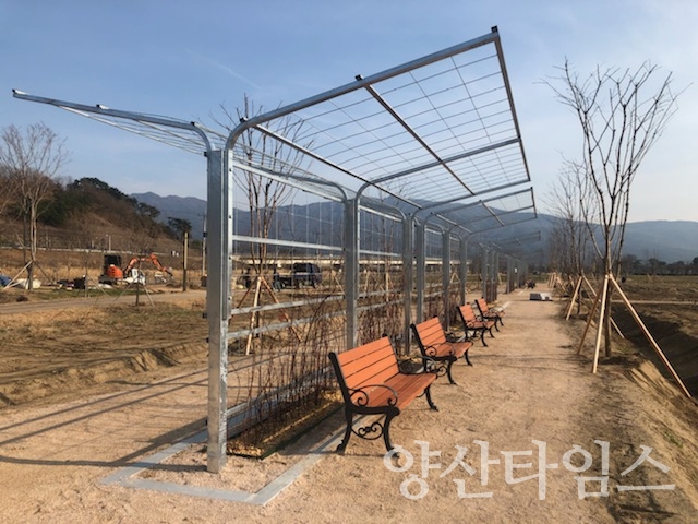 양산시농업기술센터에서 설치한 황산공원 장미 넝쿨아치 이색쉼터 ⓒ양산타임스