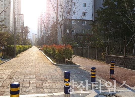 물금시가지에 조성된 명품가로수길 ⓒ양산타임스