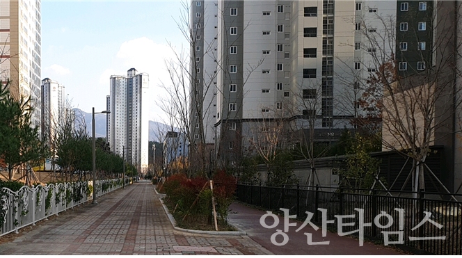 물금시가지에 조성된 명품가로수길 ⓒ양산타임스