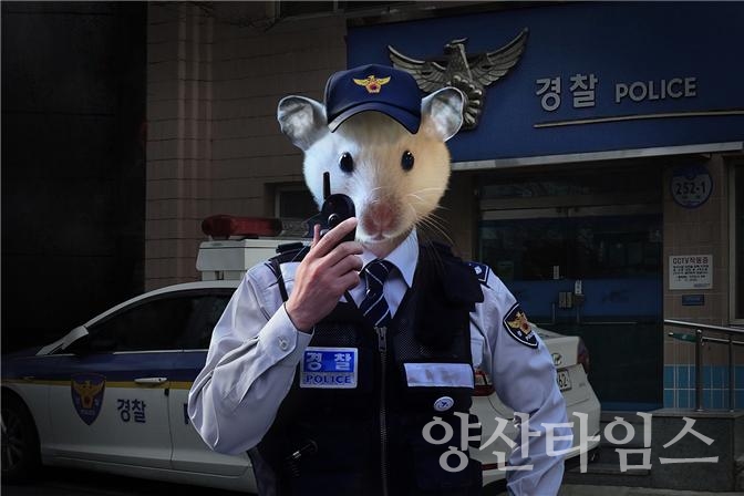 울주선바위도서관 이병록 현대사진 개인전 「Story of 12 zodiac」 ⓒ양산타임스