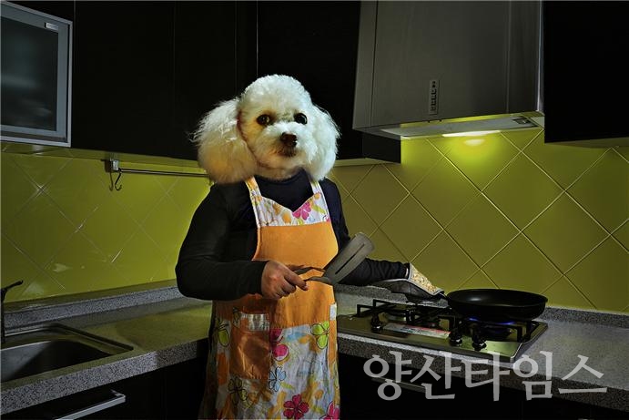 울주선바위도서관 이병록 현대사진 개인전 「Story of 12 zodiac」 ⓒ양산타임스