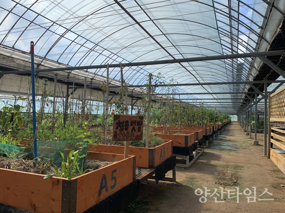 양산시 도시농업 농장(텃밭) ⓒ양산타임스