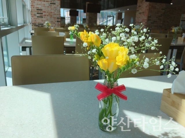 울주군청 직원식당 테이블에 놓인 프리지아 ⓒ양산타임스