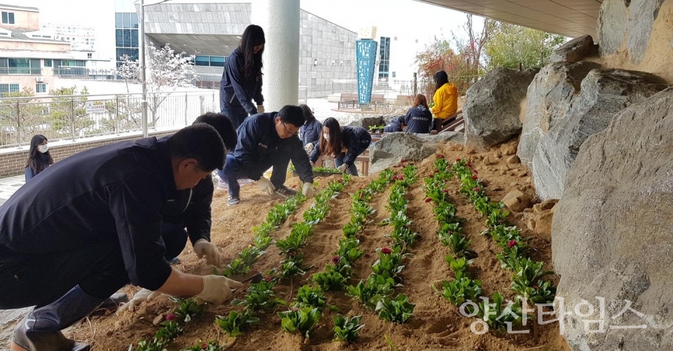 ⓒ양산타임스