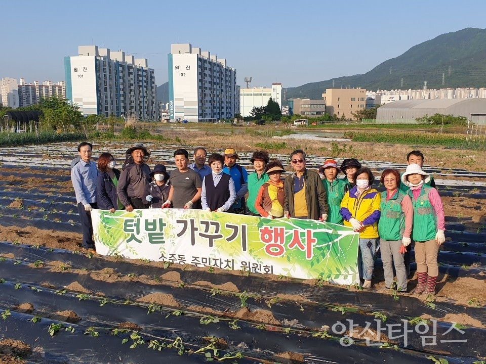 소주동 주민자치위 사랑의 텃밭 가꾸기ⓒ양산타임스