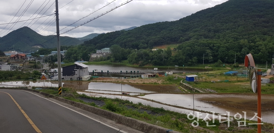 당촌저수지 생태공원 조성ⓒ양산타임스