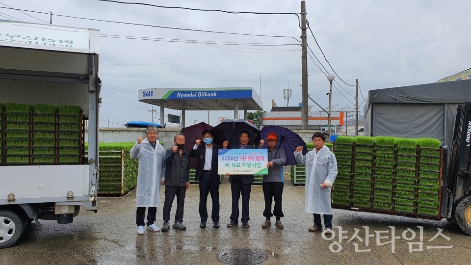 기장군이ㅏ 관내 고령 농업인 농가에 벼 육묘를 지원했다. ⓒ양산타임스