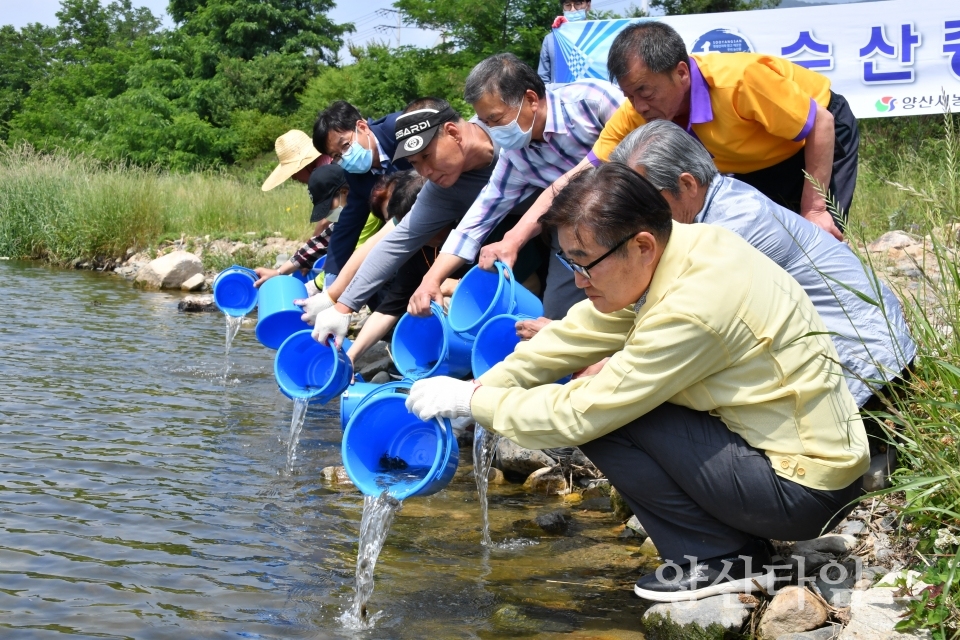 수산종자 동남참게 방류ⓒ양산타임스