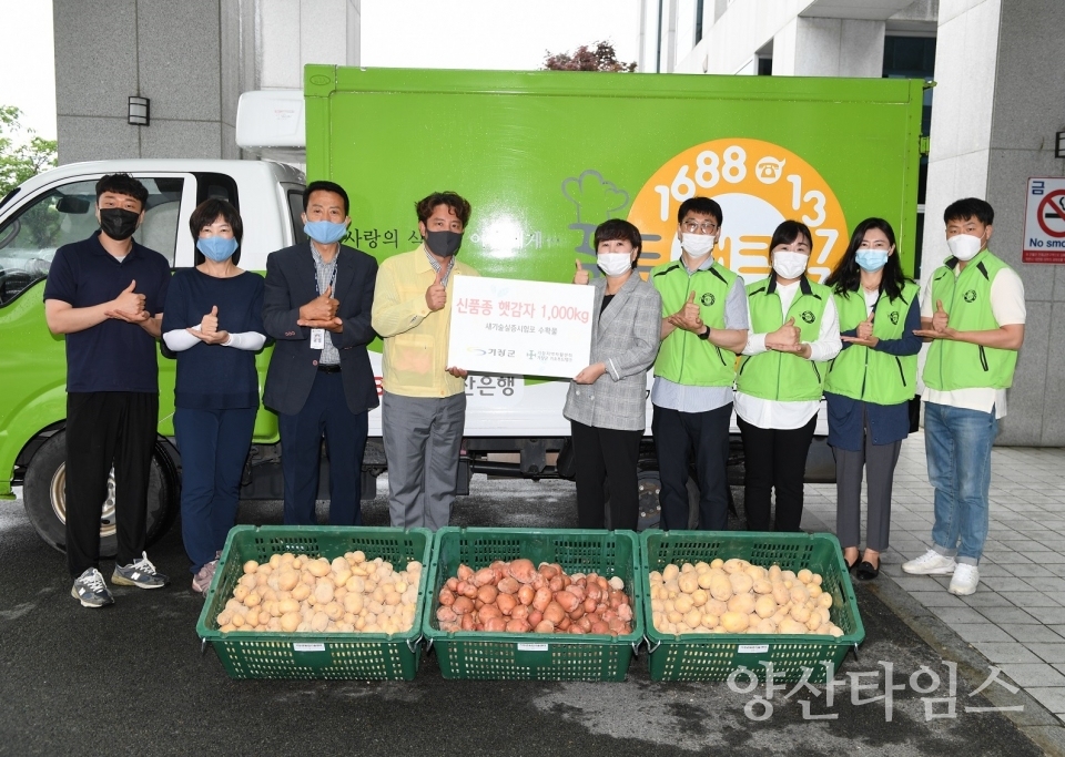 기장군은 새기술실증시험포(기장군 일광면 원리)에서 실증시험재배 후 생산된 농작물(감자)을 코로나19로 어려움을 겪는 계층에 전량 기부했다. ⓒ양산타임스