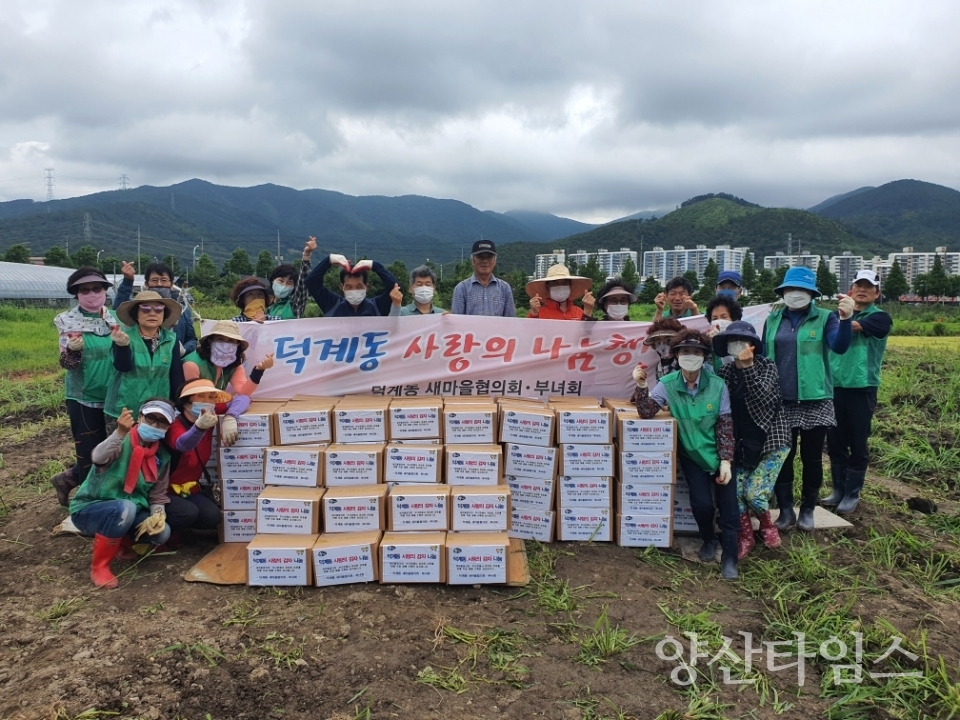 덕계동 새마을협의회·부녀회 감자나눔 실천 ⓒ양산타임스