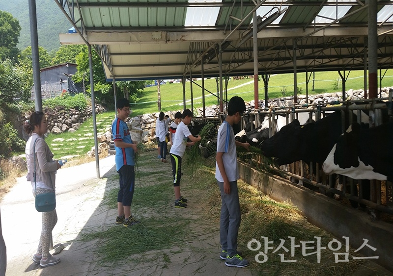 내화목장 ⓒ양산타임스