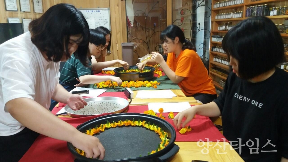 양산꽃차 ⓒ양산타임스