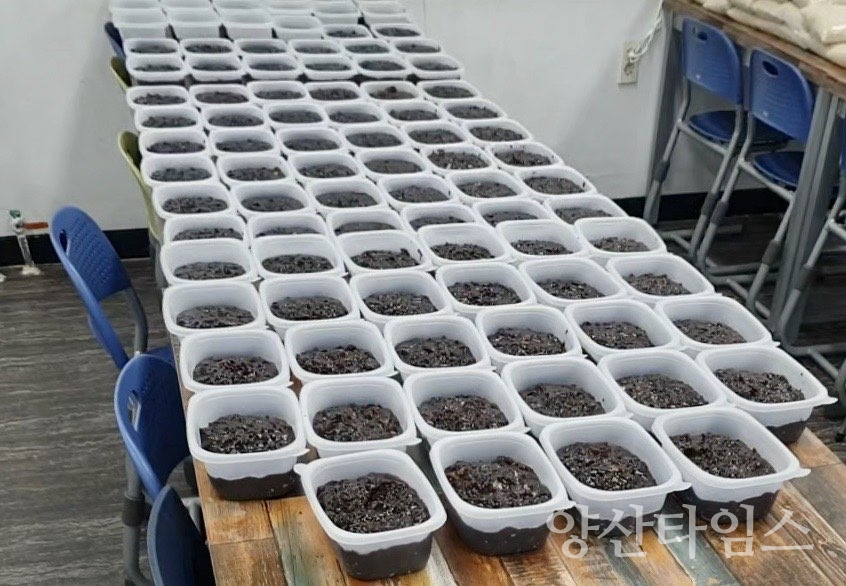 금천 사랑 듬뿍 짜장 나눔ⓒ양산타임스