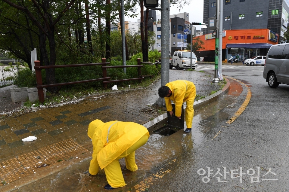 9월 7일 오전 9시30분경 기장군 직원들이 정관읍 도로변 배수로를 확보하고 있다.ⓒ양산타임스