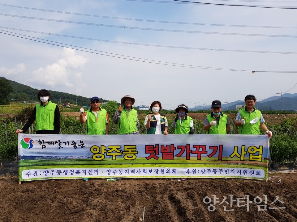양주동 나눔텃밭 가꾸기 ⓒ양산타임스