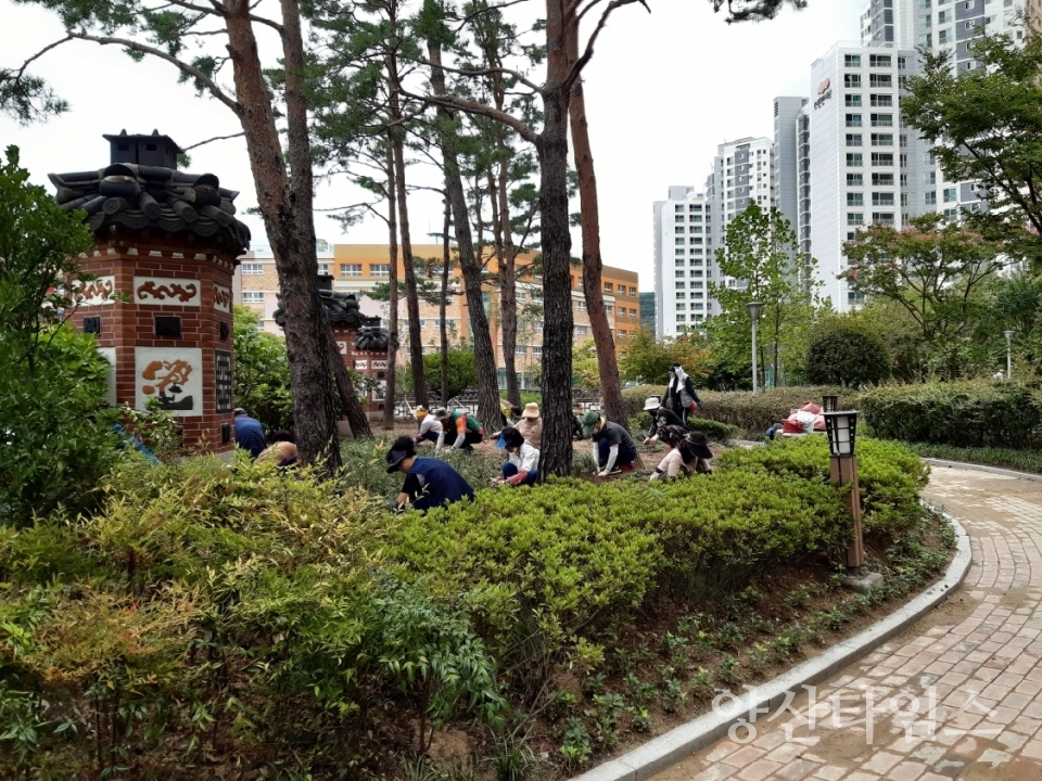 희망일자리사업 ⓒ양산타임스