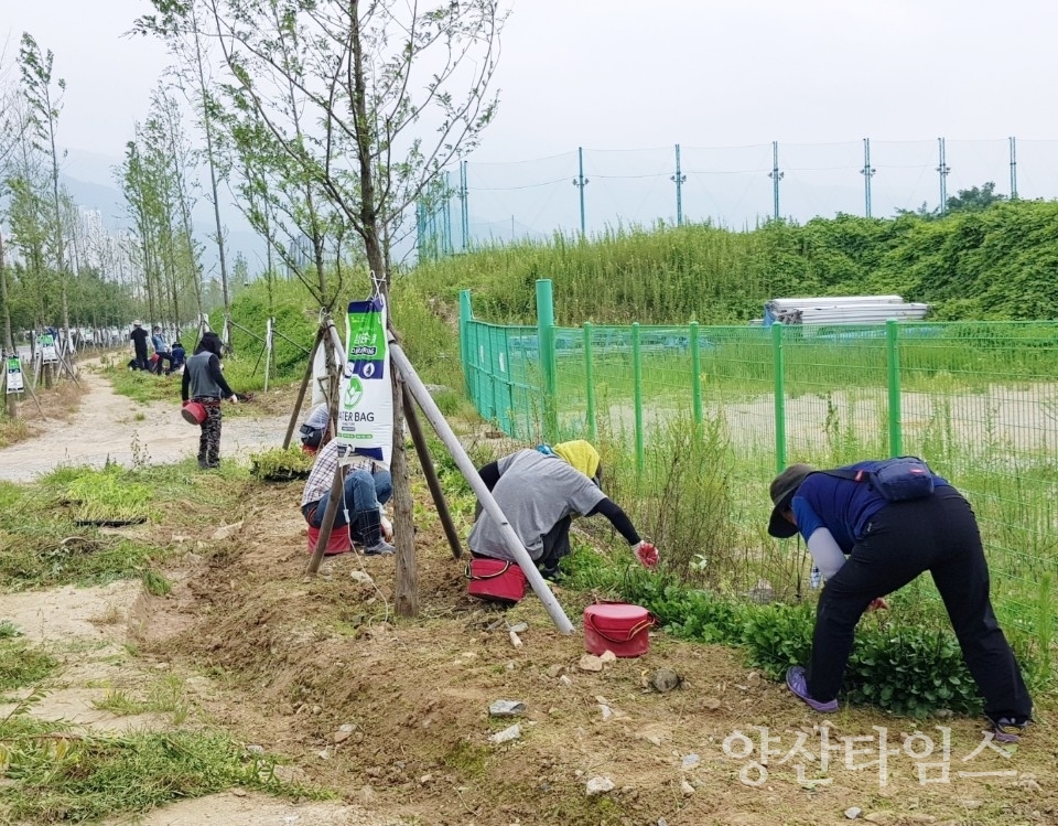 희망일자리사업 ⓒ양산타임스