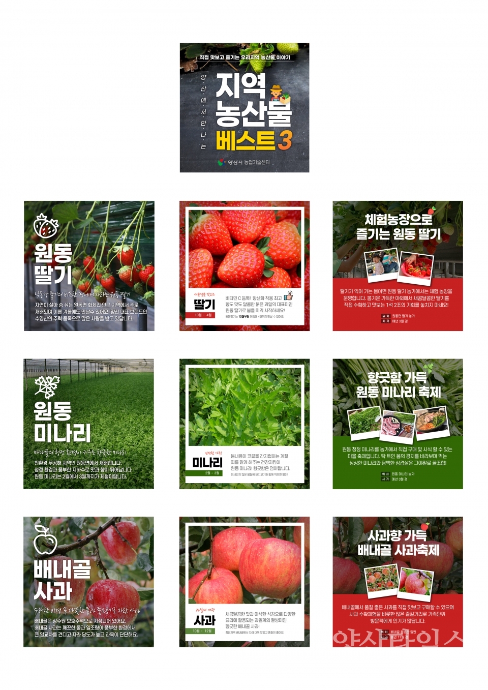 우수 지역농산물 비대면 홍보 ⓒ양산타임스