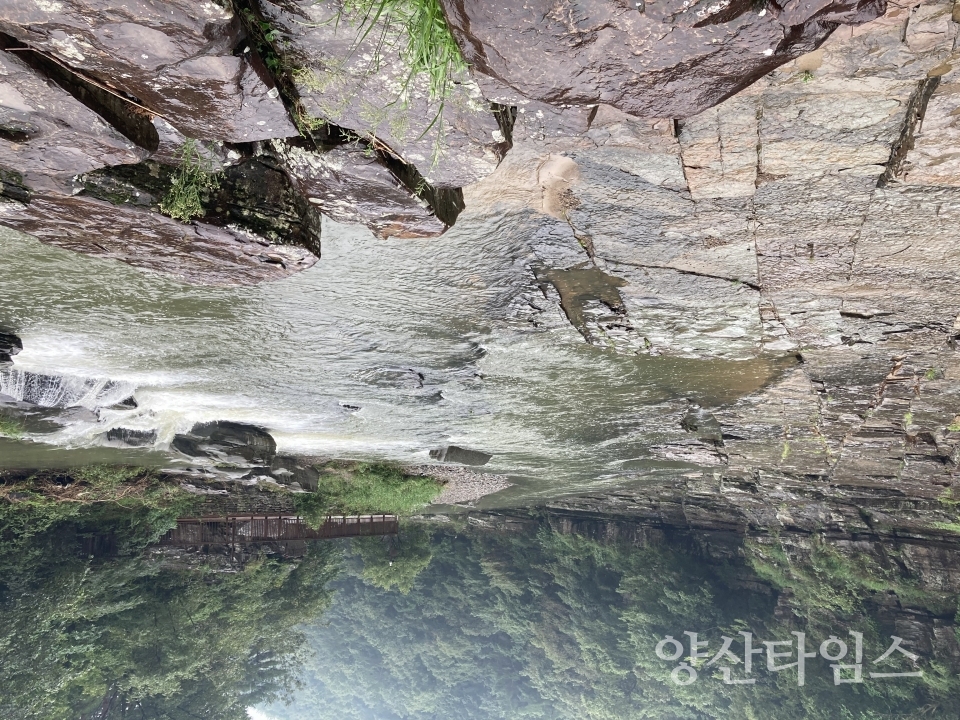 천전리공룡ⓒ양산타임스