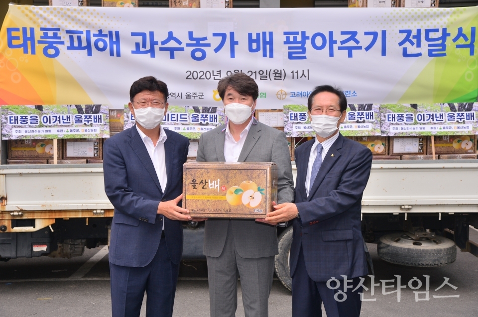 고려아연 낙과 배 사주기 ⓒ양산타임스